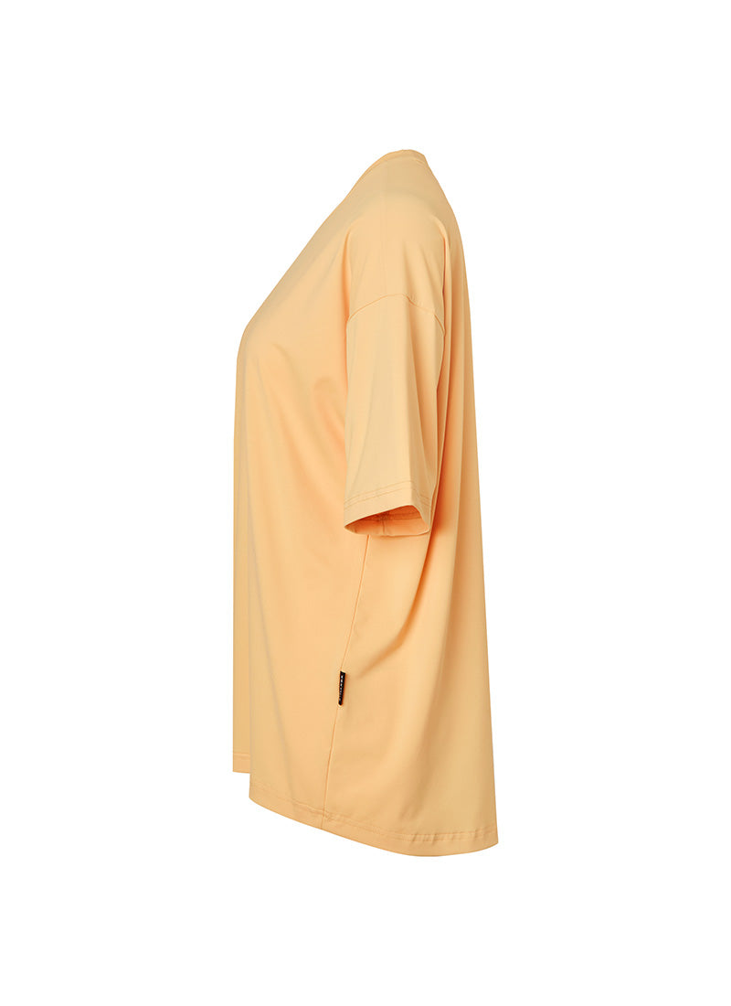 Ice Feather Over Fit T-Shirt